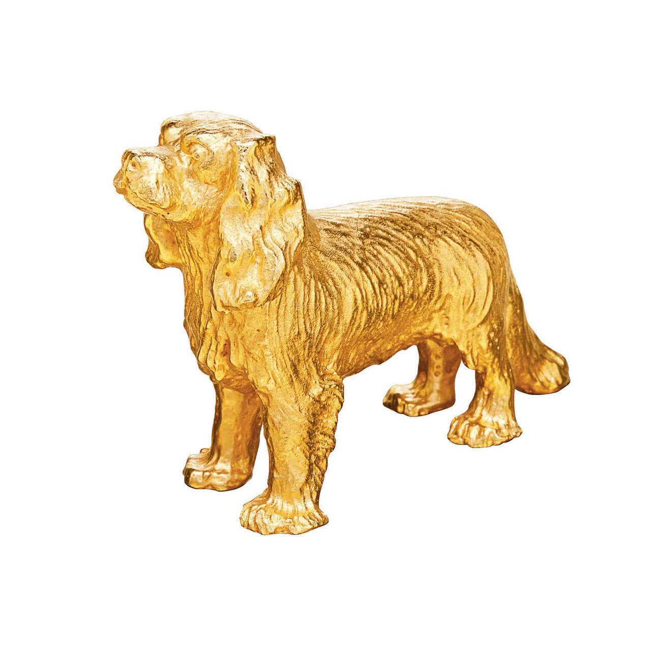Cavalier King Charles