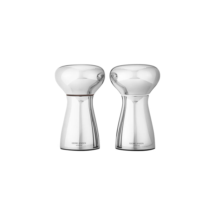 Stainless Steel Salt and Pepper