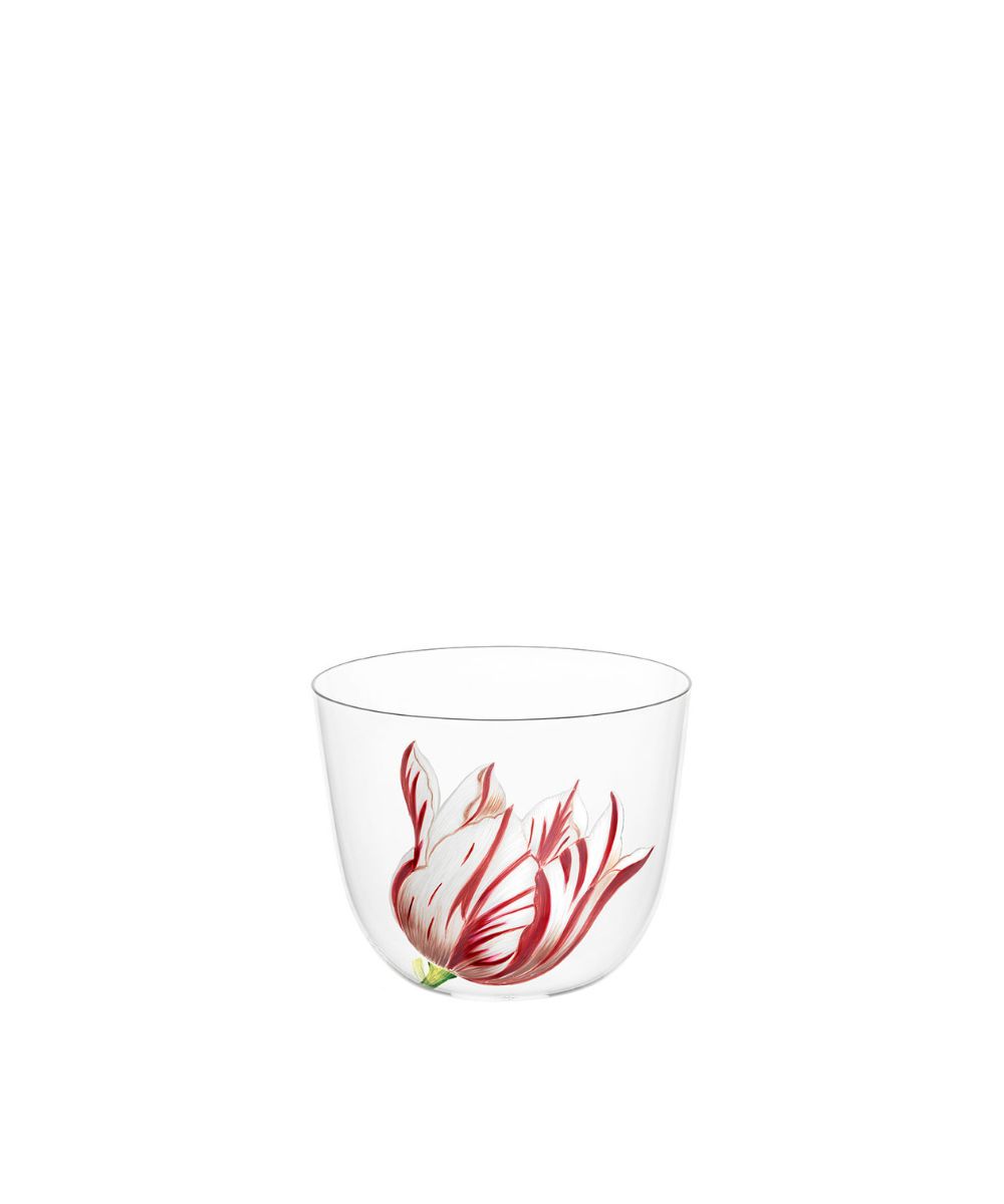 Drinking Set No. 267 Alpha - Tulipmania Tumbler