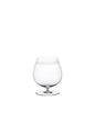 Brandy Snifter - Pearl Border