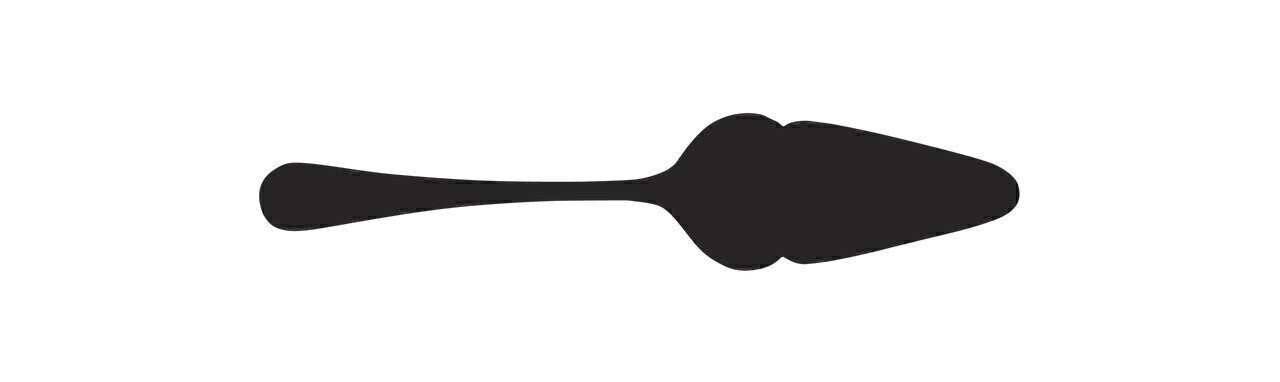 Small Cake Server