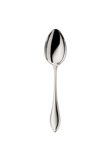 Navette Silverplate Flatware Collection