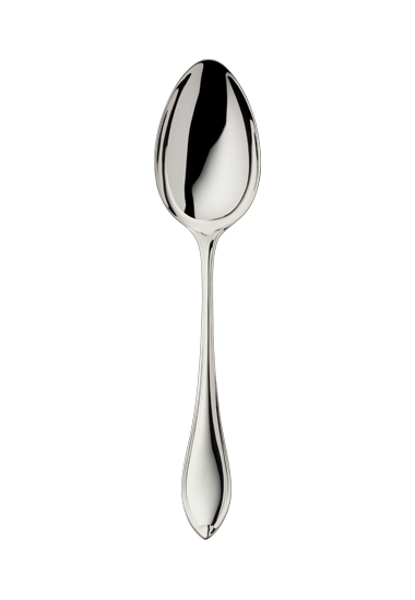 Navette Silverplate Flatware Collection