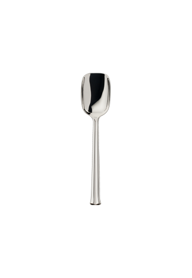 Viva Silverplate Flatware Collection