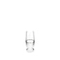 Prestige Crystal White Gold Rim Stemware Collection