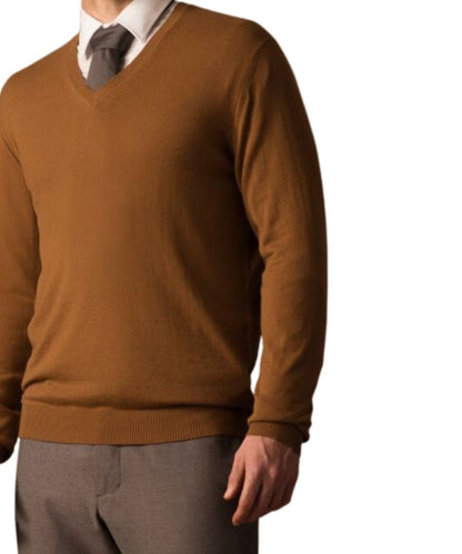 Men's Pure Vicuña V-Neck Sweater in Natural