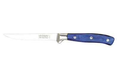 Chateaubriand Steak Knives in Blue (Set of Six)