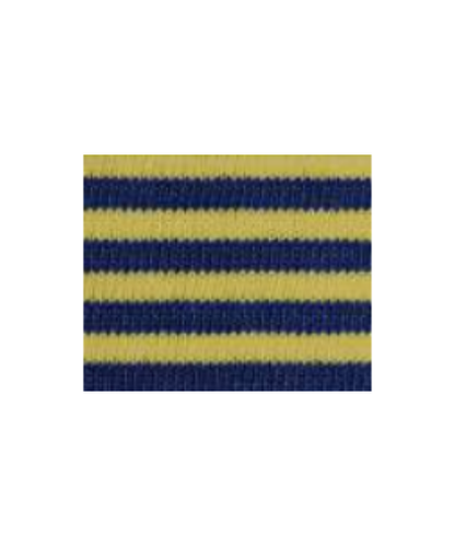 Navy/Yellow